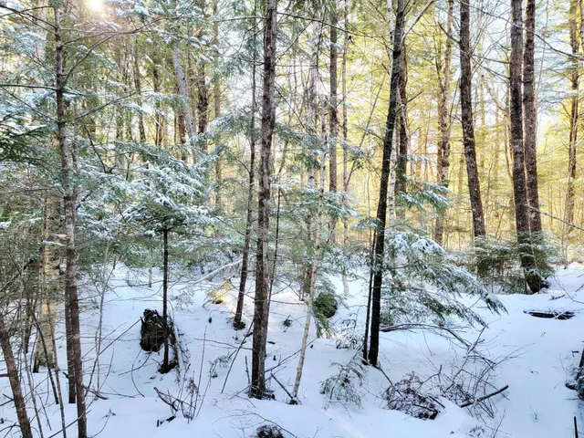 $69,000 | 27 Trout Brook Road, Mariaville, ME 04605