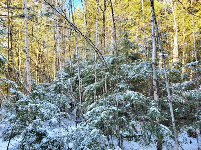 $69,000 | 27 Trout Brook Road, Mariaville, ME 04605