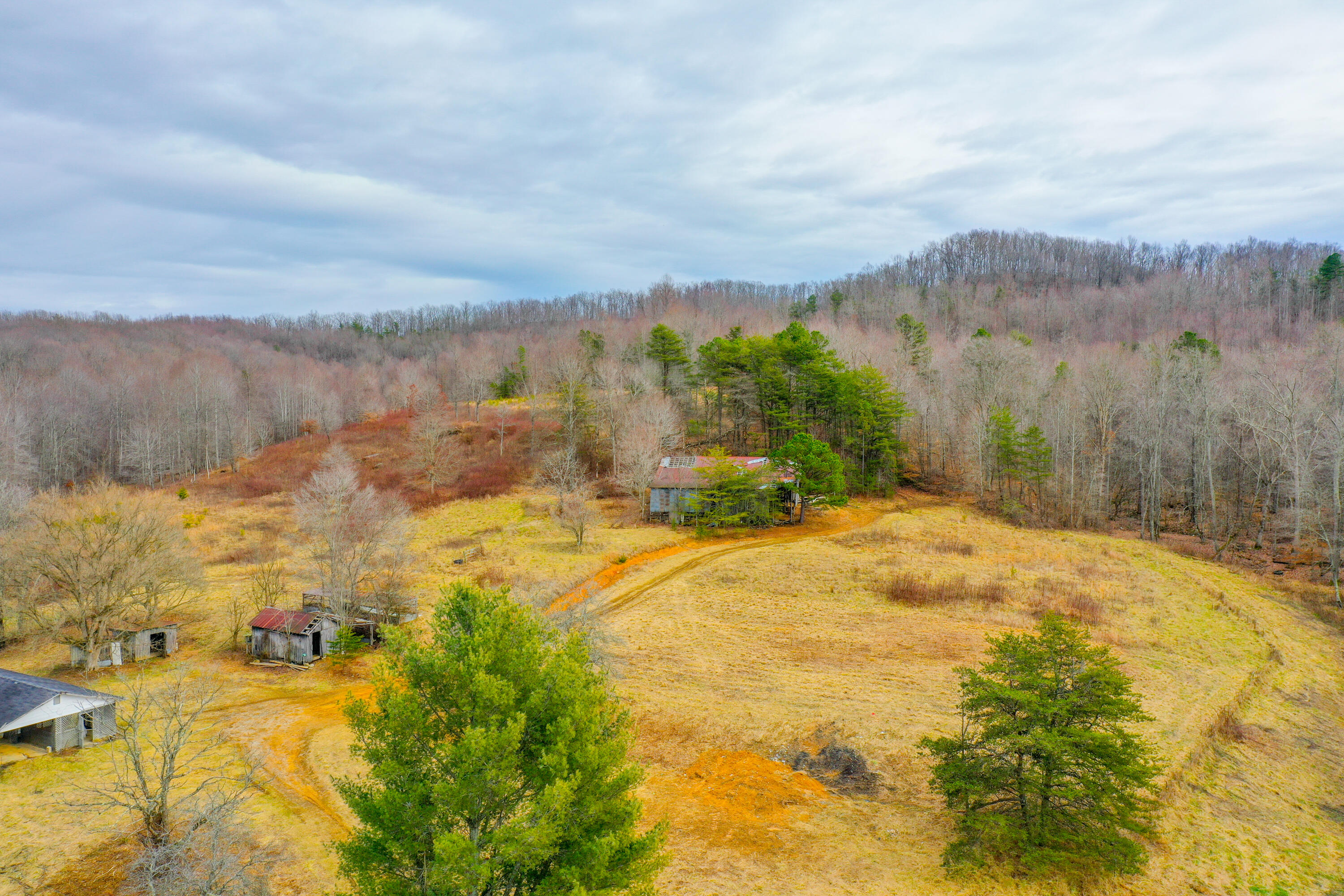 org_2434fc87922d425a_1706643870000-HDR