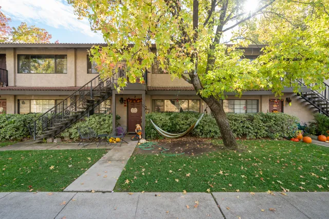 a view of a house with a small yard plants and a large tree