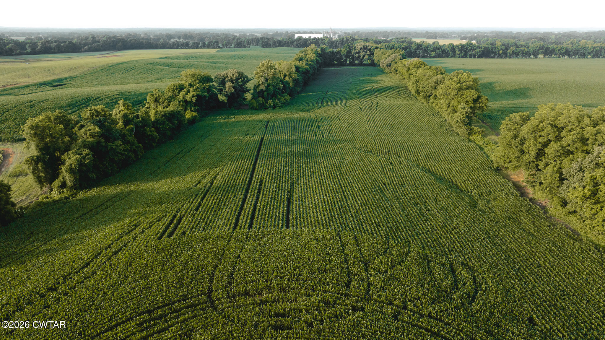 0 Jack Tate Road Obion, TN 38240 - Photo 15 of 23 DJI_20260531140202_0074_D