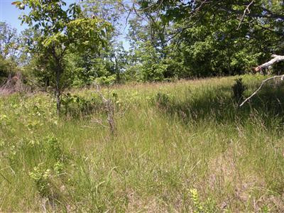 5 Northeast County Line Road Sadieville, KY 40370 - Photo 1 of 2 This a beautiful lot that accesses off o