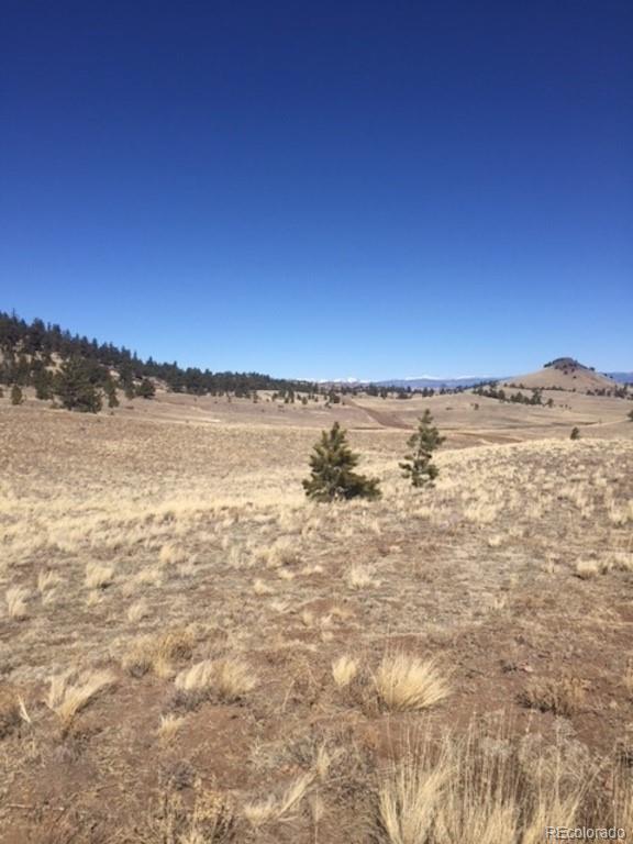 331 Isadowa Trail Hartsel, CO 80449 - Photo 1 of 3 Gallery Image 1
