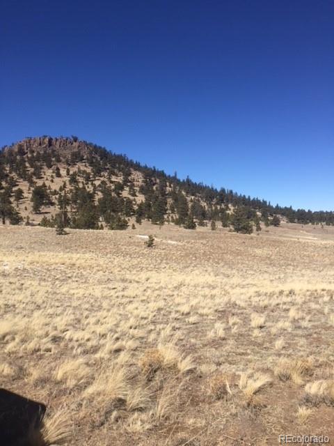 331 Isadowa Trail Hartsel, CO 80449 - Photo 2 of 3 Gallery Image 2