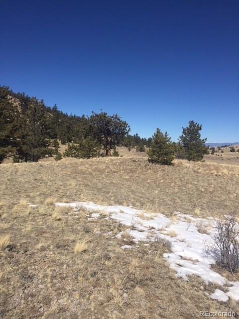 331 Isadowa Trail Hartsel, CO 80449 - Photo 3 of 3 Gallery Image 3