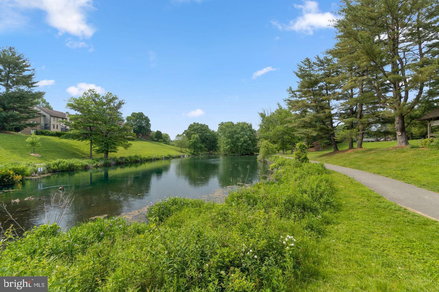 10008 Stedwick Road, Unit 10008 Montgomery Village, MD 20886 - Photo 3 of 17 LAKE VIEW