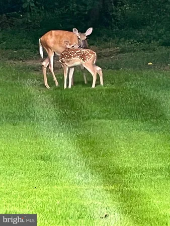 $4,800 | 3332 Philmont Avenue, Huntingdon Valley, PA 19006