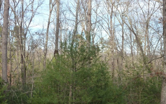 Lot 3 Noontootla Over Blue Ridge, GA 30513 - Photo 1 of 1 Main View