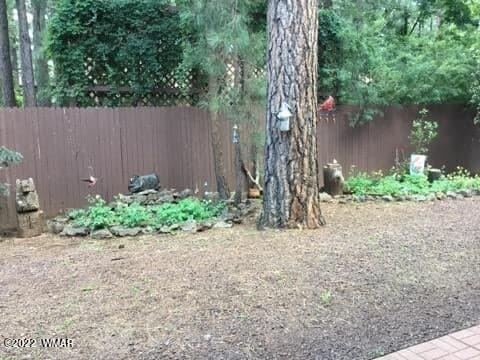 2768 Snow Slope Way Pinetop, AZ 85935 - Photo 34 of 36