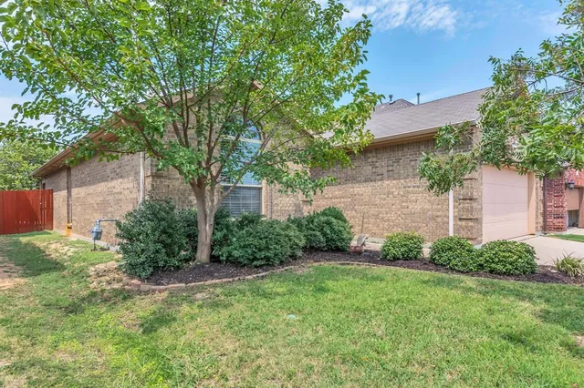 a view of a backyard with plants and large trees