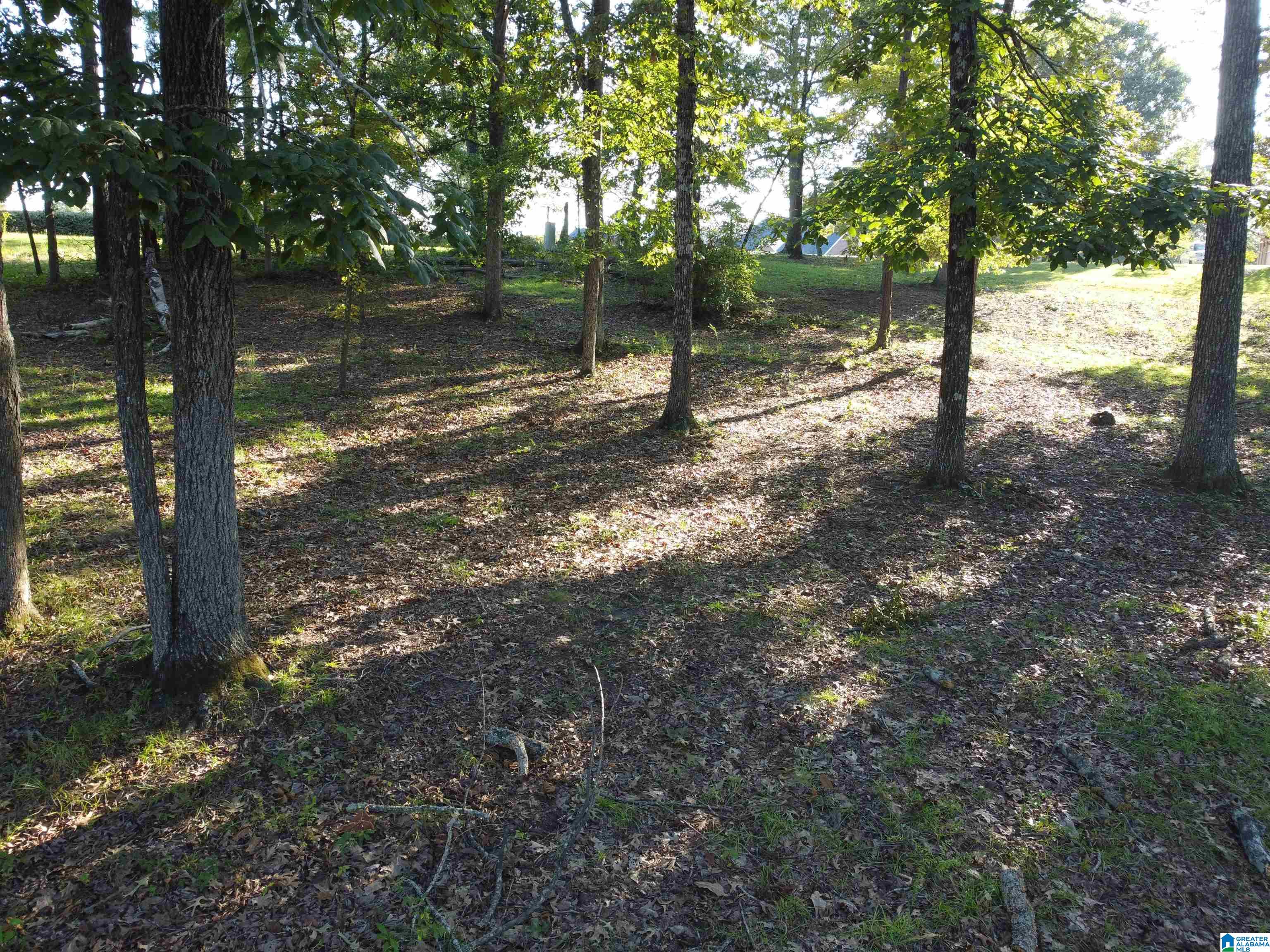 Lot 16 Riley Circle, Unit 16 Thorsby, AL 35171 - Photo 16 of 19
