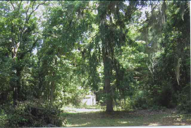 484 County Rd S-22-295 Georgetown, SC 29440 - Photo 8 of 8 Gallery Image 8