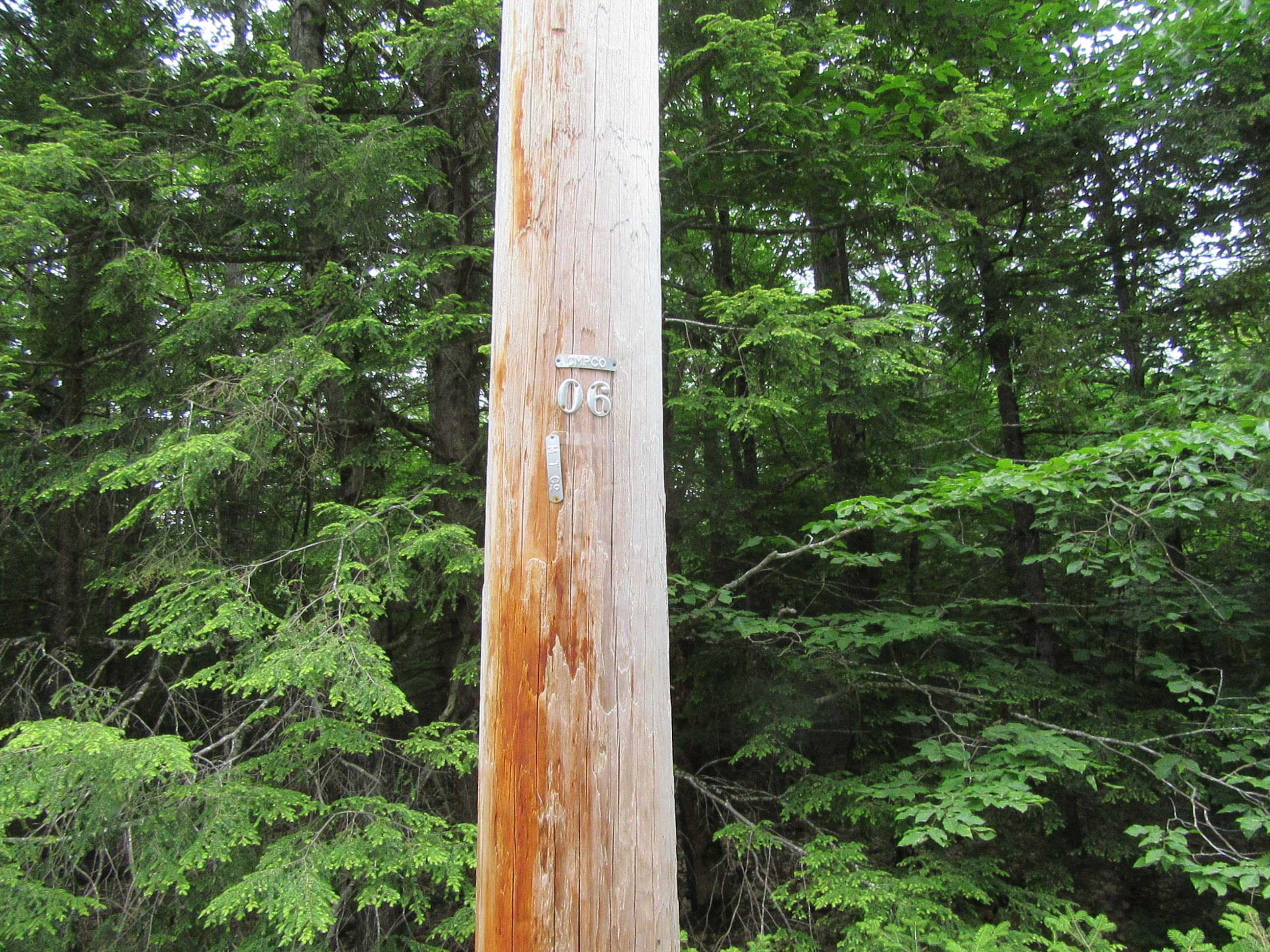 Tbd Scribner Hill Road Otisfield, ME 04270 - Photo 4 of 13 IMG_2816