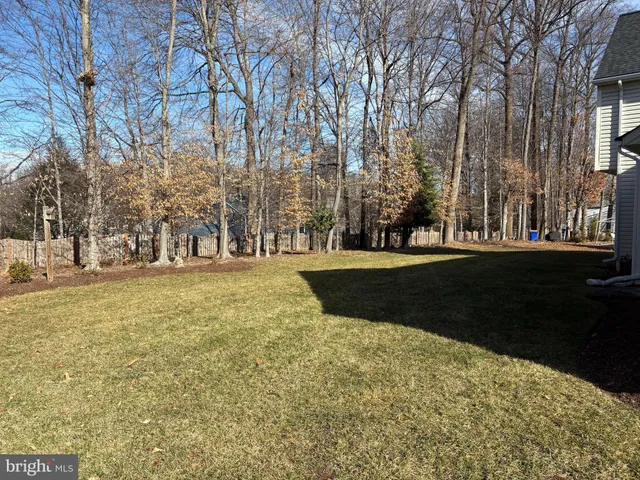 a view of yard with green space