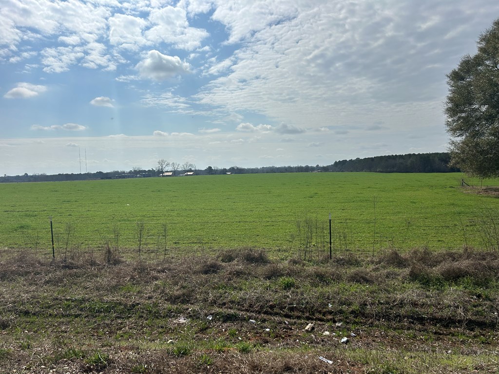 17.99-ac 17.99-ac Wicksburd Road Newton, AL 36352 - Photo 22 of 22