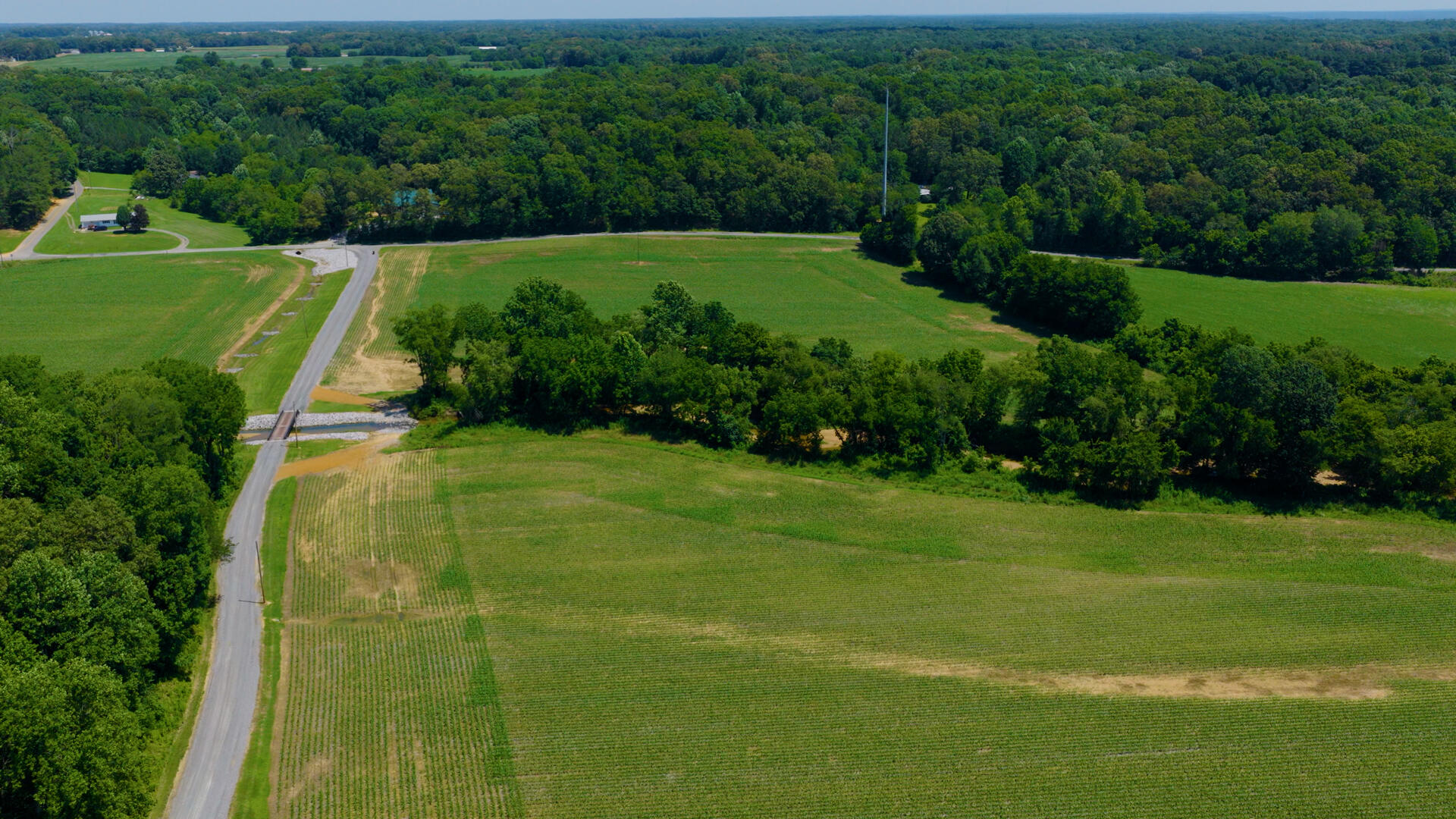 5279 State Line Road East Hazel, KY 42049 - Photo 64 of 93 39