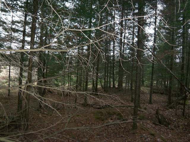 On Channel Road, Unit LOT 2 Eagle River, WI 54521 - Photo 8 of 14 Gallery Image 8