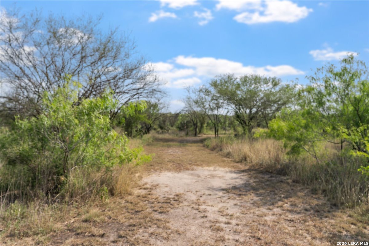 226 Private Road Alice, TX 78332 - Photo 36 of 42