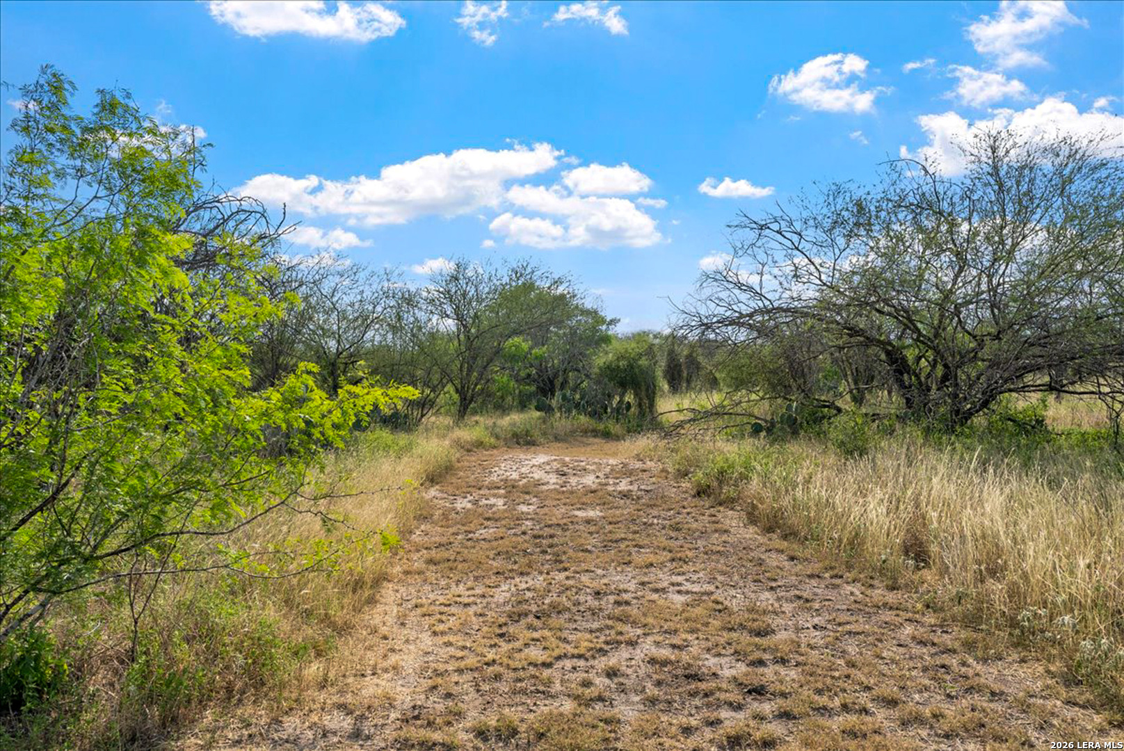 226 Private Road Alice, TX 78332 - Photo 37 of 42