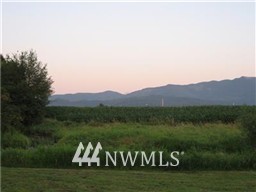 3359 Clearbrook Road Sumas, WA 98295 - Photo 23 of 25 a view of a lake with a mountain in the background