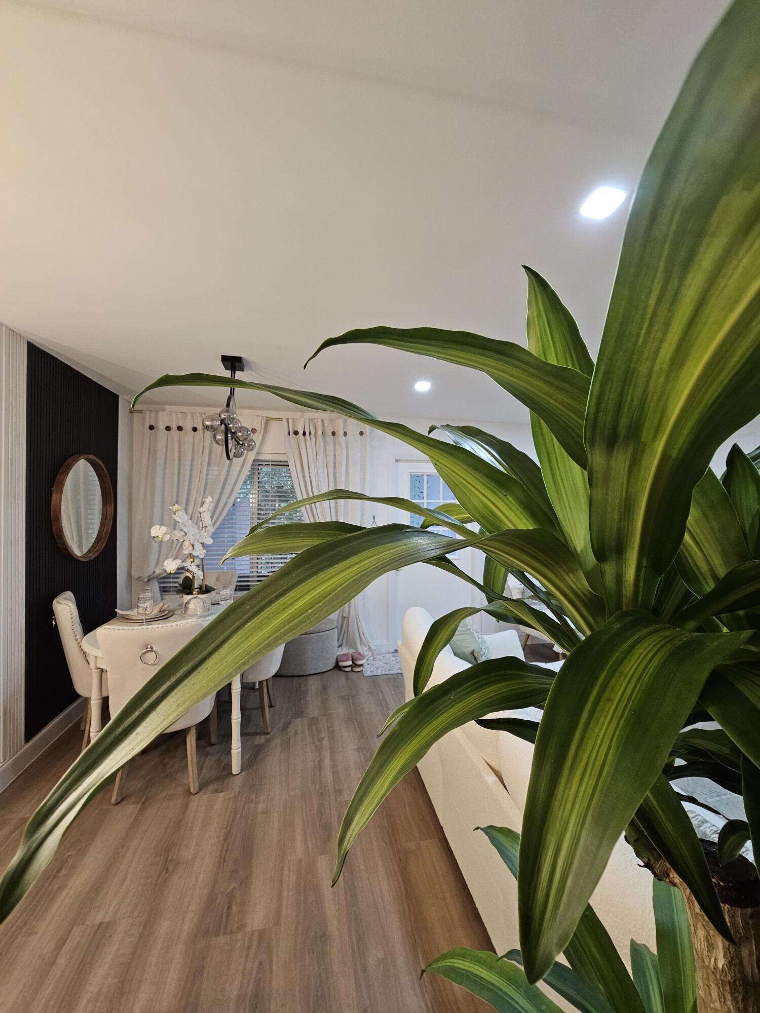 312 Pine Ridge Circle, Unit A2 Greenacres, FL 33463 - Photo 54 of 73 a room with lots of wooden furniture and a potted plant