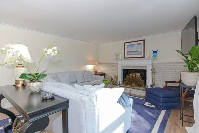 a living room with furniture potted plant and a fireplace