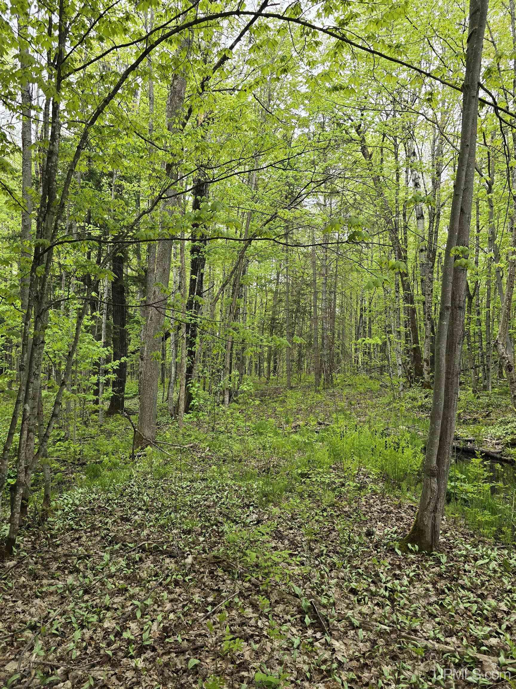 Lot 37 Yellow Road Pelkie, MI 49958 - Photo 29 of 34