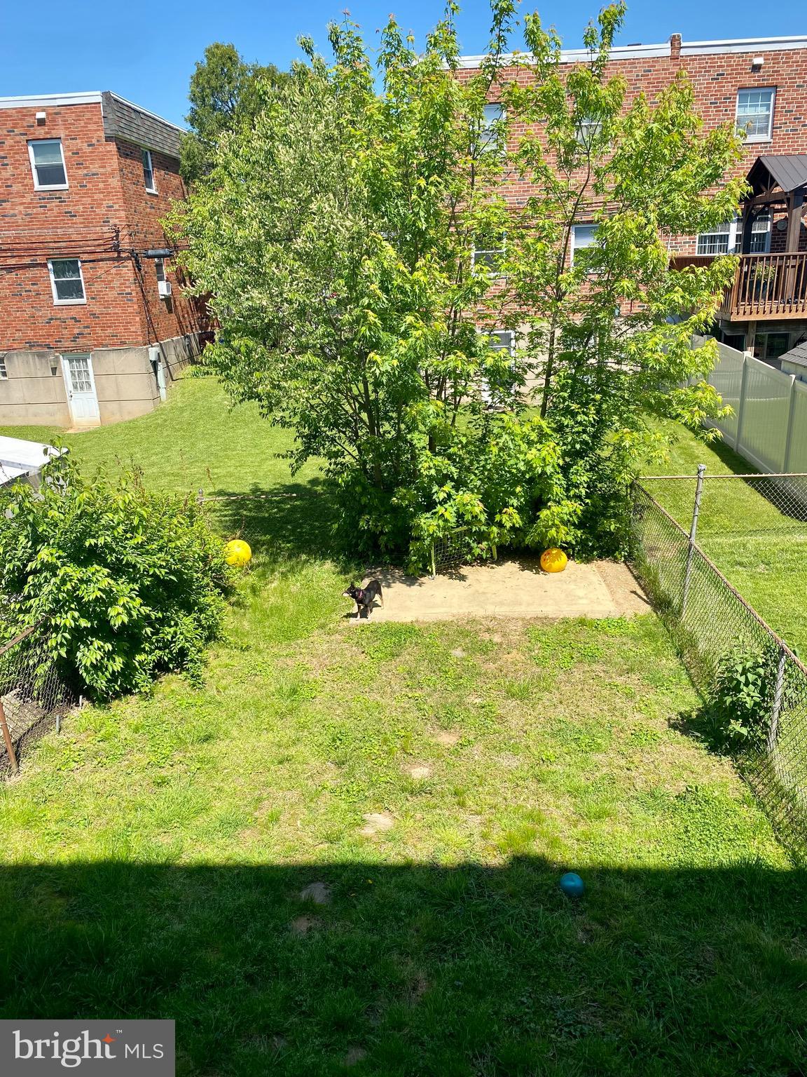 12420 Dunks Ferry Road Philadelphia, PA 19154 - Photo 19 of 19 Fenced rear yard