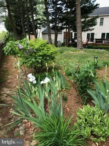 a view of a house with a park