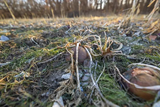 $1,090,000 | 6108 State Z Highway, Pattonsburg, MO 64670