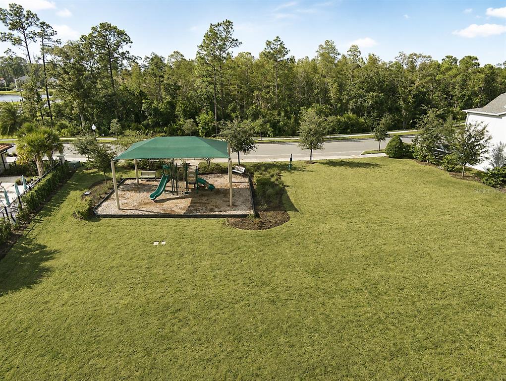 8355 Torcello Isle Drive Windermere, FL 34786 - Photo 68 of 72