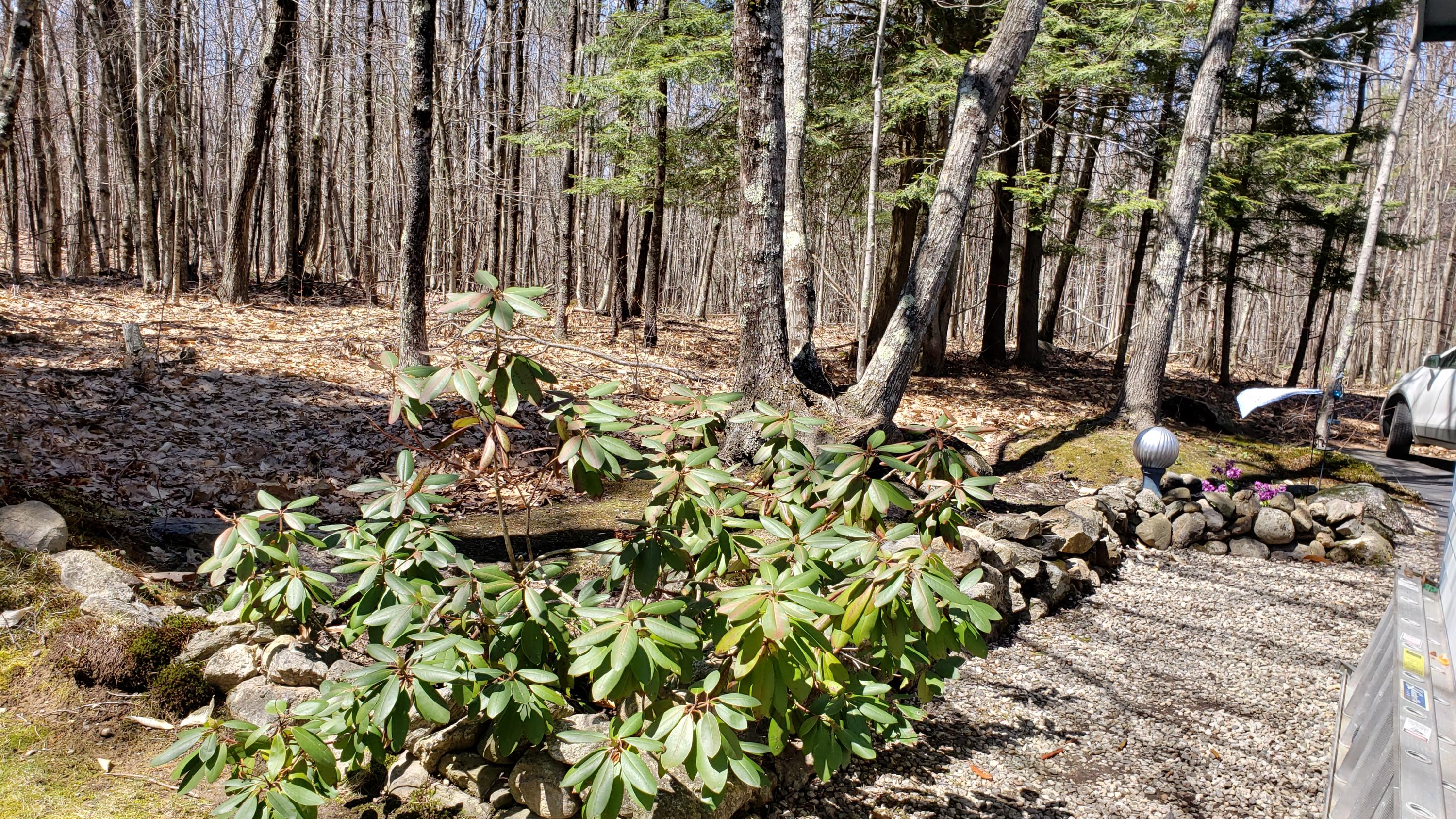 18 Pond Ridge Drive Lewiston, ME 04240 - Photo 57 of 60 20190429_125028