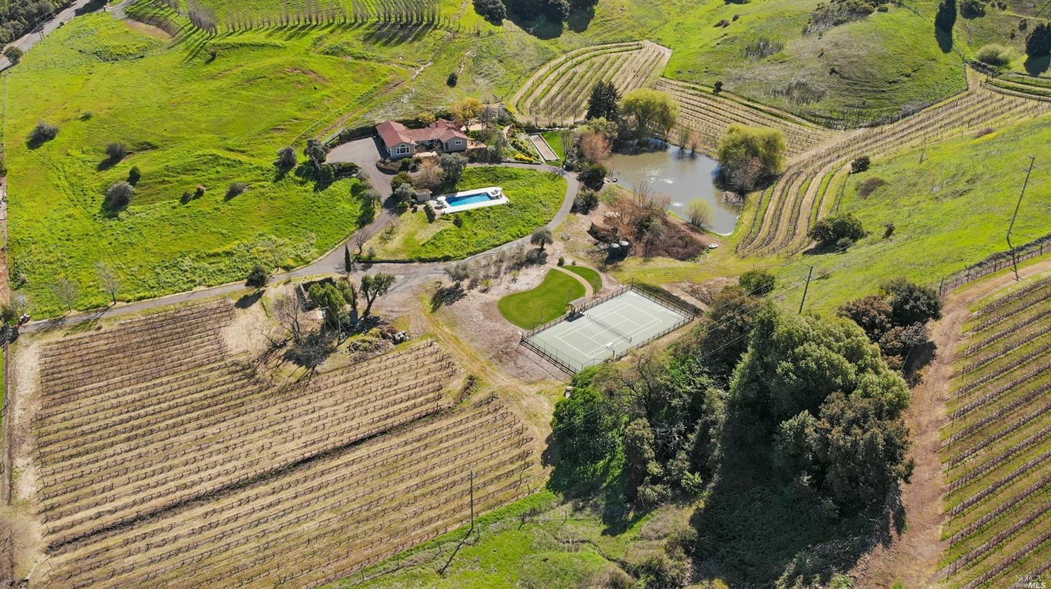 a view of a garden with plants