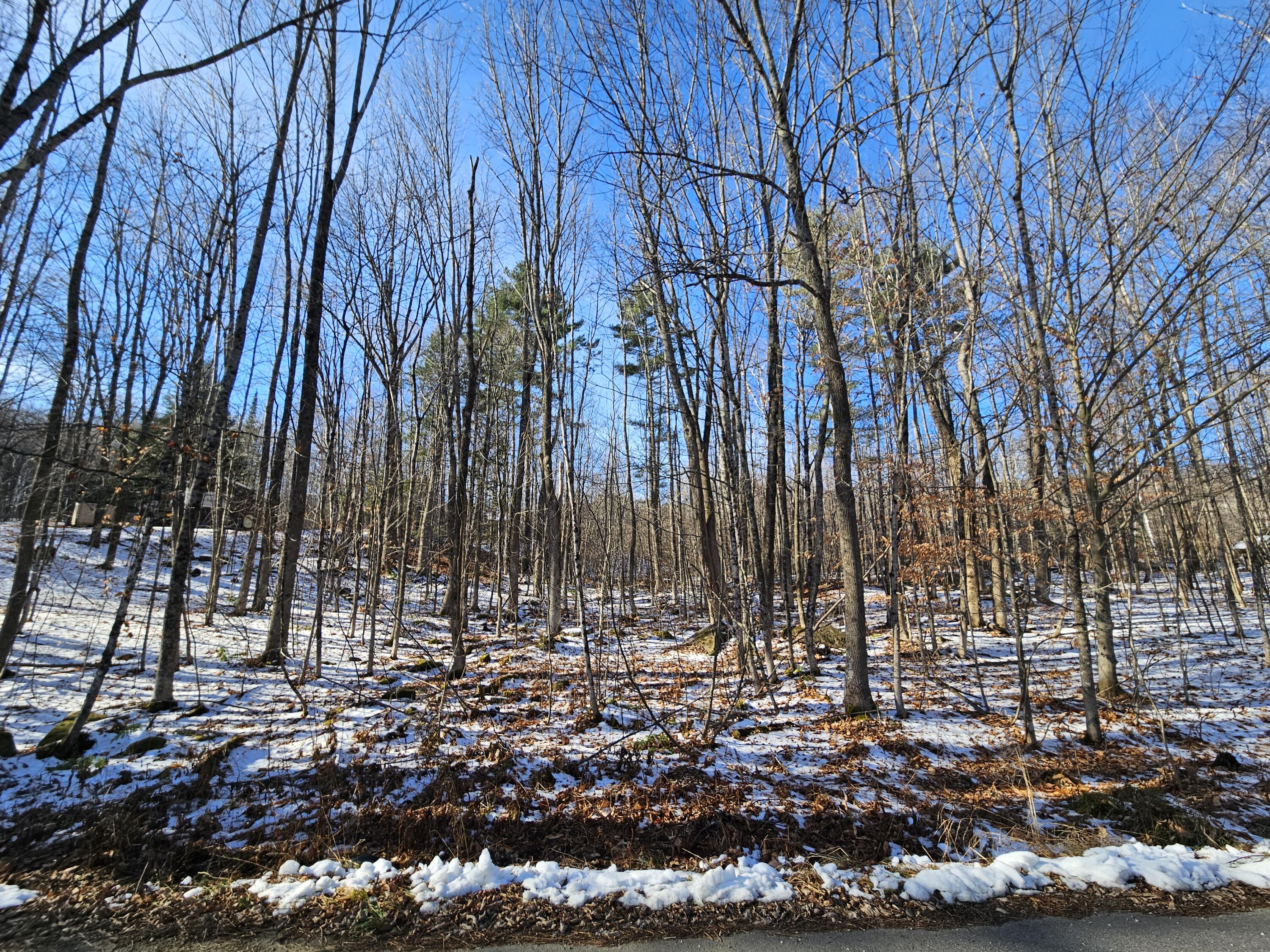 R09-l13-3 Ski Slope Road Farmington, ME 04938 - Photo 2 of 12 20251120_100351