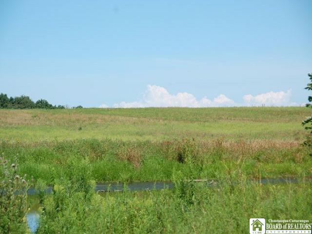 0 Stebbins Road Sherman, NY 14781 - Photo 1 of 1 Gallery Image 1
