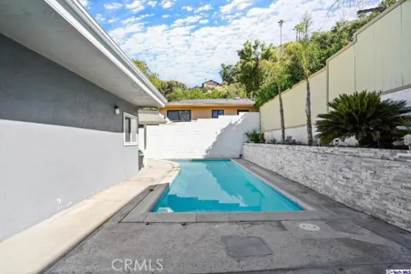 a view of backyard with a large tree