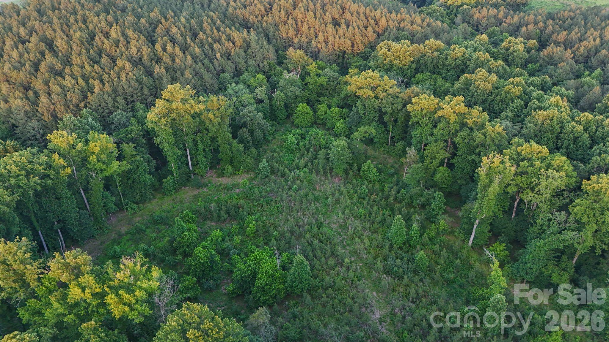 0 Lucy Short Cut Road, Unit 3 Marshville, NC 28103 - Photo 28 of 47