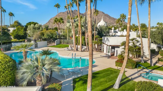 a view of a yard with plants and large trees