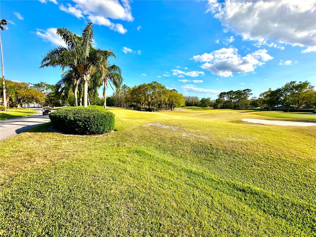 5454 Saddlebrook Way, Unit 2 Wesley Chapel, FL 33543 - Photo 37 of 46