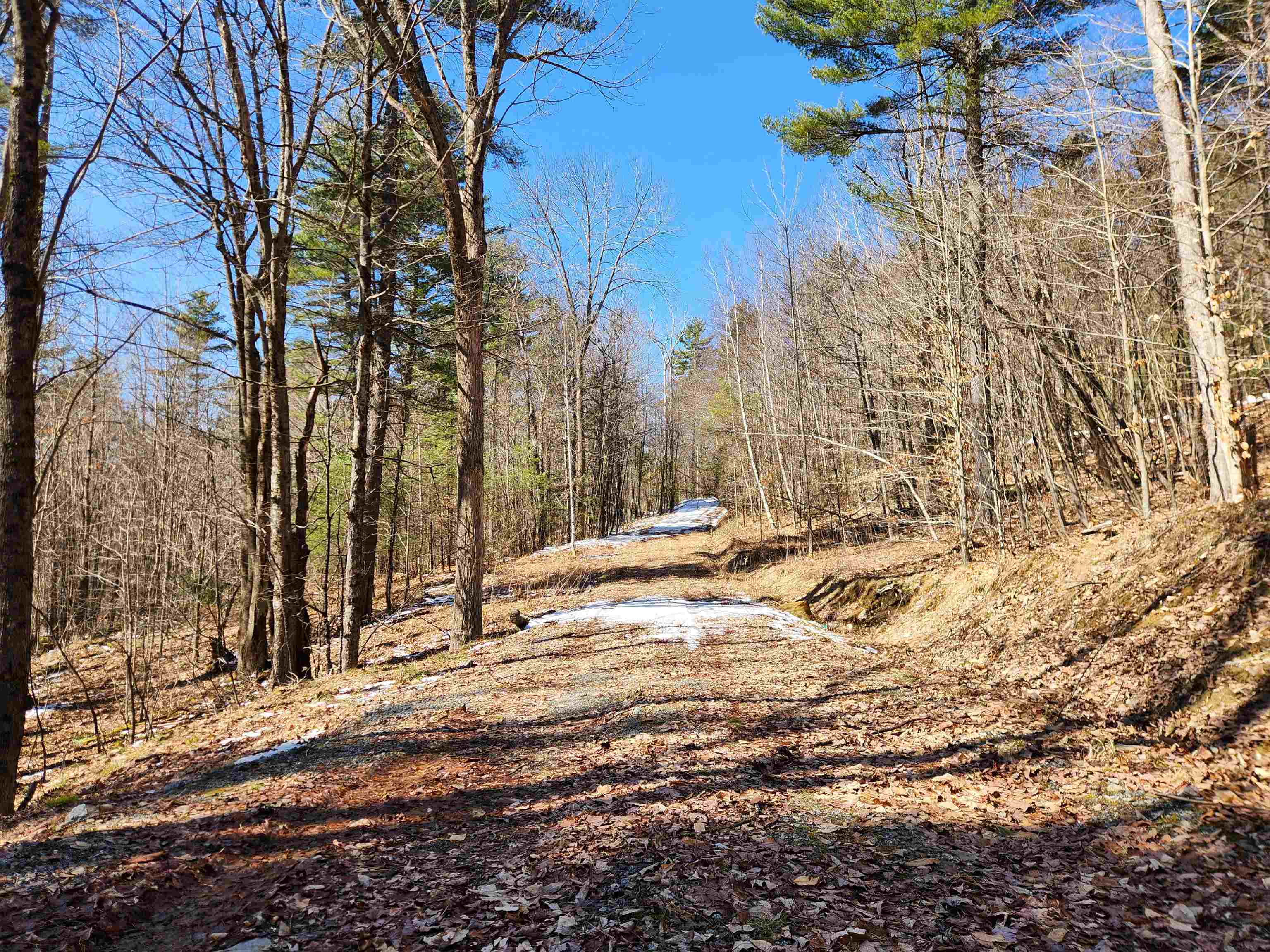 Sand Pond Road Marlow, NH 03456 - Photo 14 of 17 Gallery Image 14