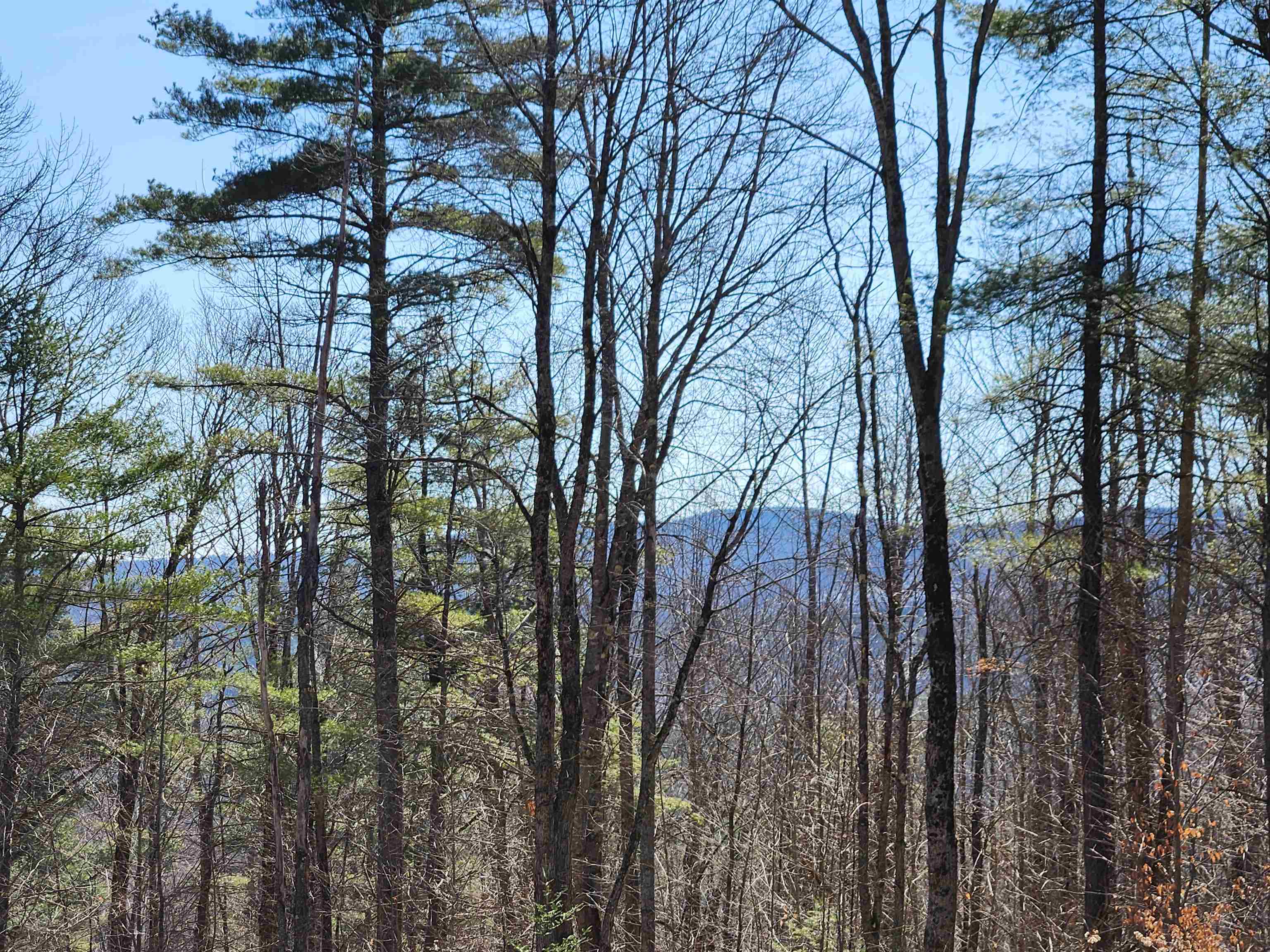 Sand Pond Road Marlow, NH 03456 - Photo 3 of 17 Gallery Image 3