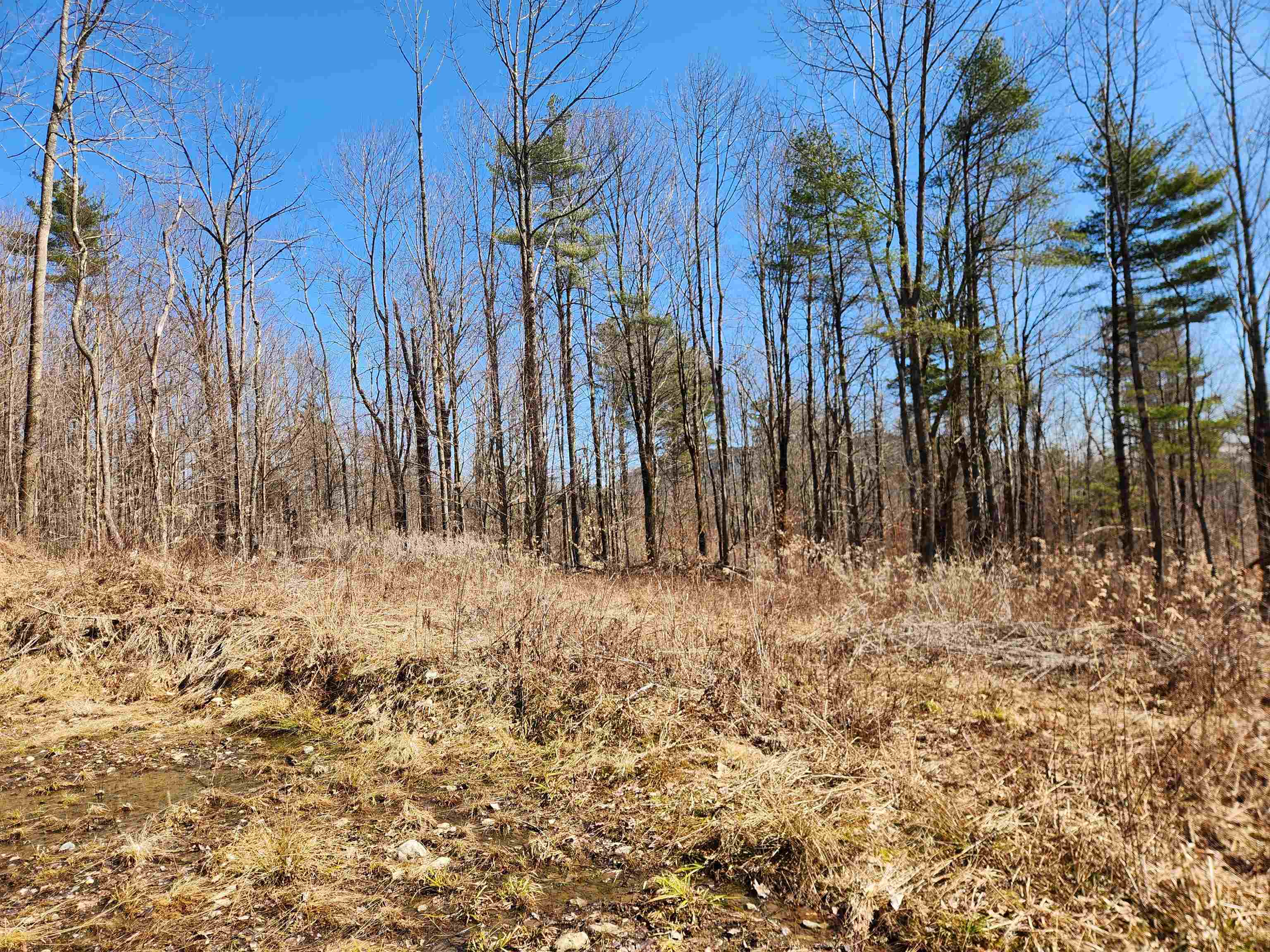 Sand Pond Road Marlow, NH 03456 - Photo 5 of 17 Gallery Image 5