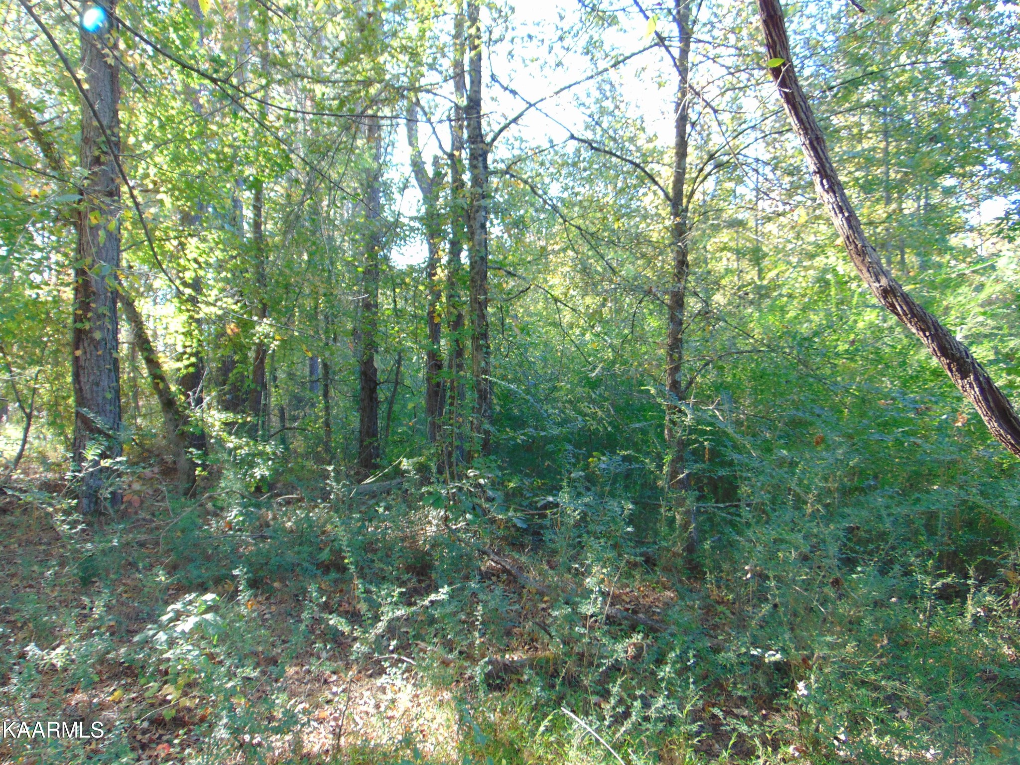26 Charles Road Decatur, TN 37322 - Photo 4 of 6