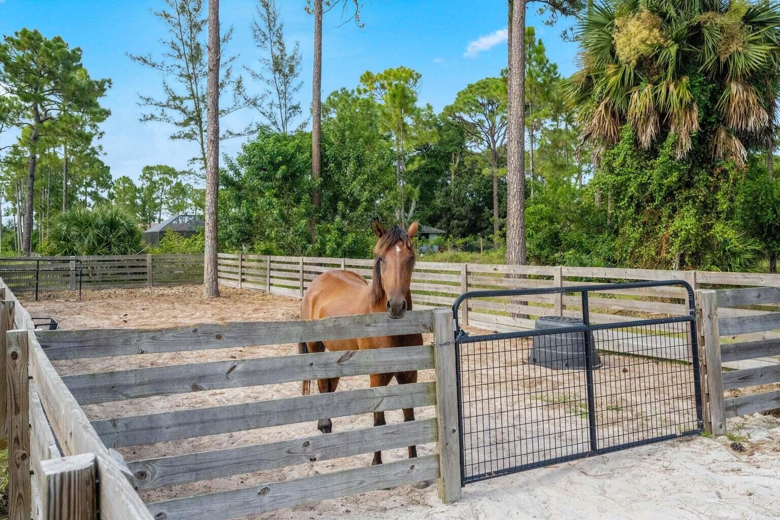 14891 97th Road North The Acreage, FL 33412 - Photo 46 of 51 20230329131917033329000000-o