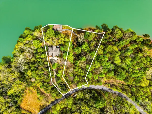 a view of a lush green hillside and a houses