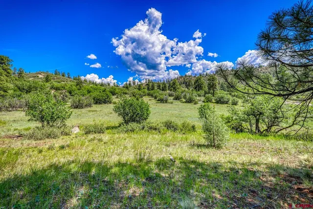 $170,000 | 1084 Crowley Drive, Chromo, CO 81128