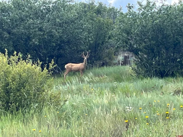 $170,000 | 1084 Crowley Drive, Chromo, CO 81128