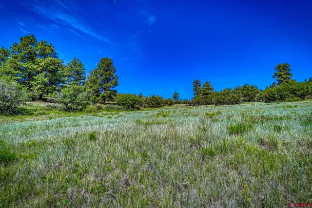 $170,000 | 1084 Crowley Drive, Chromo, CO 81128