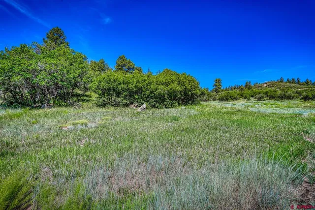 $170,000 | 1084 Crowley Drive, Chromo, CO 81128