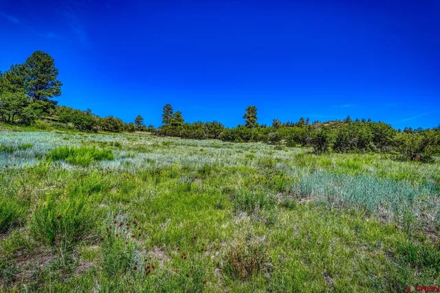 $170,000 | 1084 Crowley Drive, Chromo, CO 81128